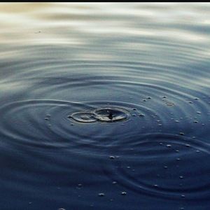 Meet your Posher, Sierra